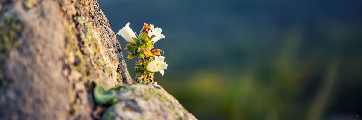30 Yaşıma Kadar Öğrendiğim 10 Hayat Dersi